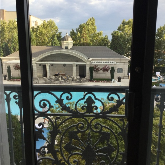 Meet your Posher, Miles - Picture 4 of 6